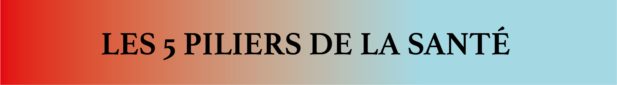 Les 5 Piliers de la santé