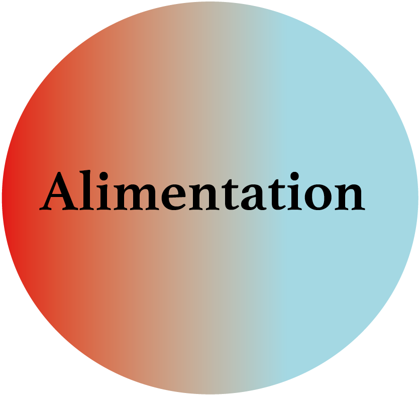 Alimentation