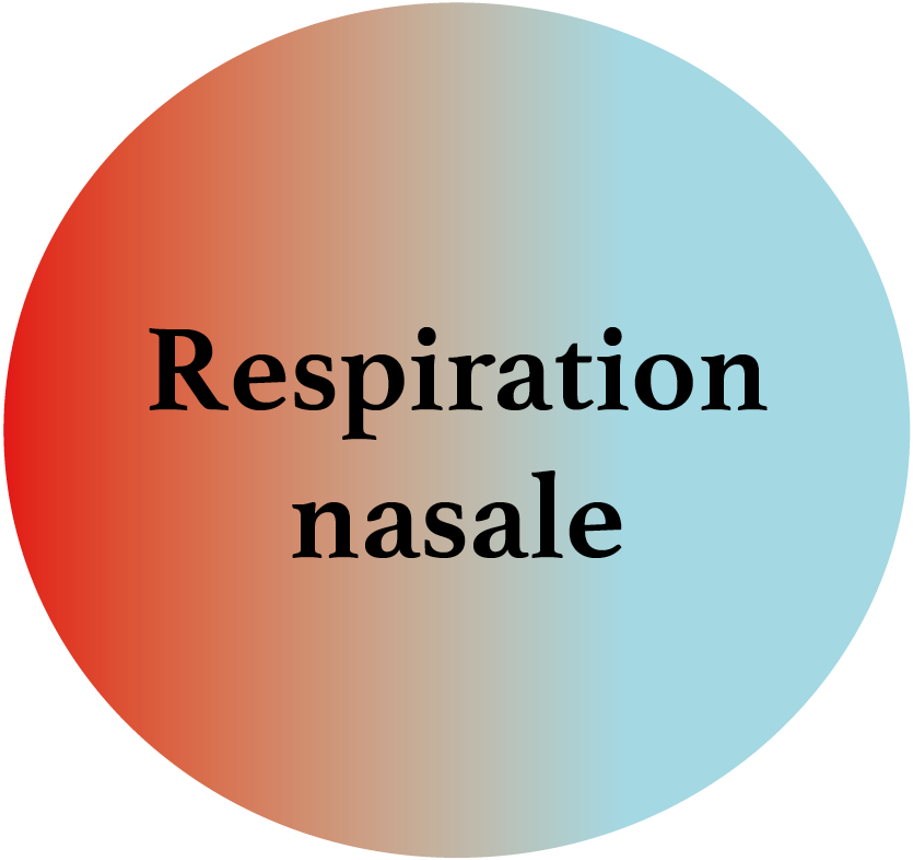 Respiration Nasale